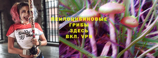 круглые Алексеевка