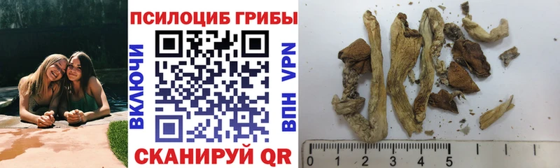 blacksprut ТОР  Сибай  Псилоцибиновые грибы мицелий 